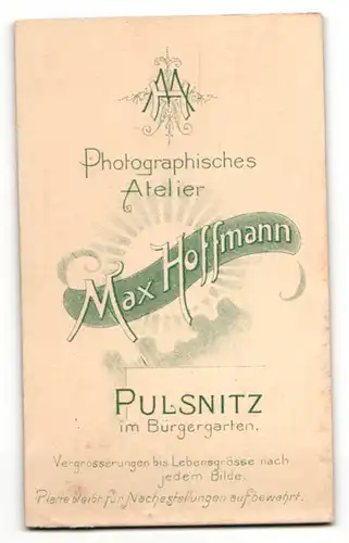 Fotografie Max Hoffmann, Pulsnitz, Portrait junger Mann in Anzug
