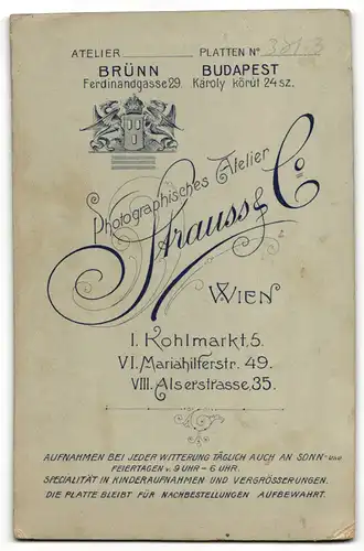 Fotografie Strauss & Co., Wien, Portrait Braut und Bräutigam, Hochzeit