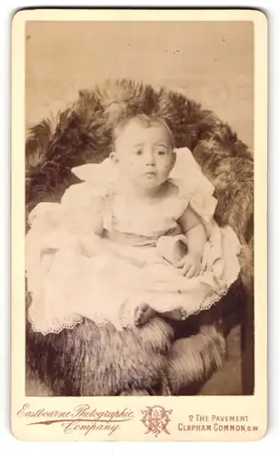 Fotografie Eastbourne Photographic Company, London, Portrait Säugling in Kleidchen