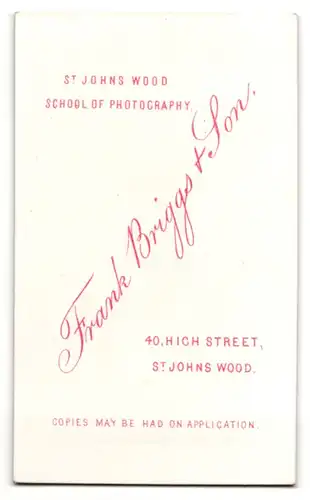 Fotografie Briggs & Son, St. John`s Wood, Portrait Dame mit zusammengebundenem Haar, UK