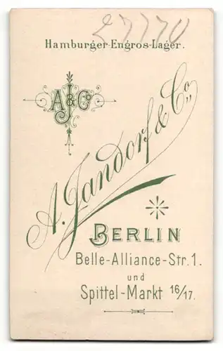 Fotografie A. Jandorf & Co, Berlin, Portrait junge Dame im eleganten Kleid mit Kragenbrosche