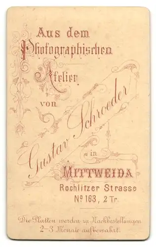 Fotografie Gustav Schroeder, Mittweida, Portrait Herr im Anzug