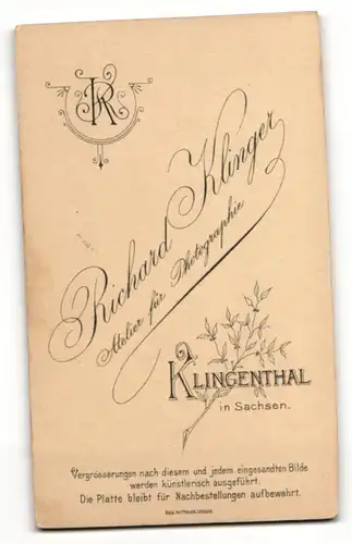 Fotografie Richard Klinger, Klingenthal / V., Portrait junger Herr im Anzug mit Krawatte