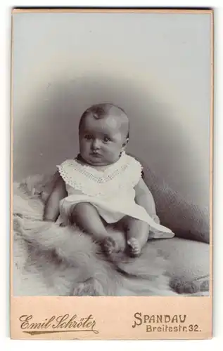 Fotografie Emil Schröter, Berlin-Spandau, Portrait Kleinkind auf einem Fell