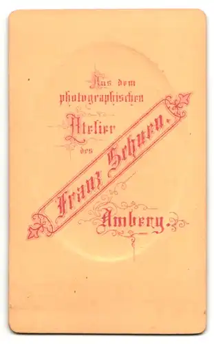 Fotografie Franz Schuen, Amberg, junger Mann mit gescheiteltem Haar und schmaler Fliege