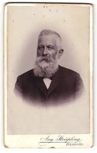 Fotografie Aug. Striepling, Hameln, Portrait betagter Herr mit Rauschebart