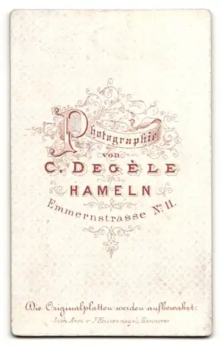 Fotografie C. Degele, Hameln, Portrait charmanter Herr im Anzug mit Fliege