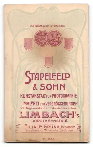 Fotografie Stapelfeld & Sohn, Limbach i / S., Portrait hübsch gekleidete Dame mit Hochsteckfrisur