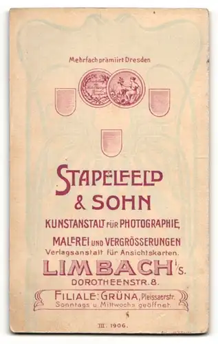 Fotografie Stapelfeld & Sohn, Limbach i / S., Portrait hübsch gekleidete Dame mit Hochsteckfrisur