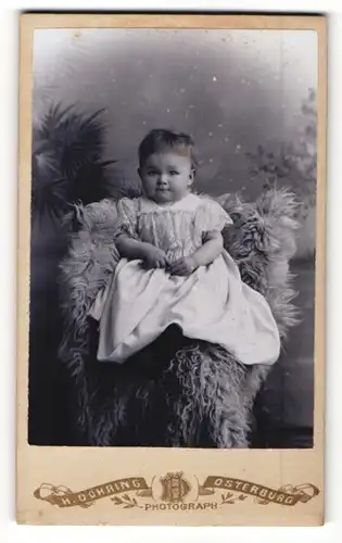 Fotografie H. Döhring, Osterburg, Portrait süsses Kleinkind im Kleidchen auf einem Fell