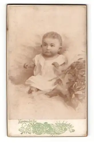 Fotografie C. Born, Kamenz, Portrait Säugling in Kleidchen