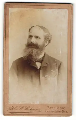 Fotografie W. Hertenstein, Berlin-SW, Portrait Herr mit Vollbart