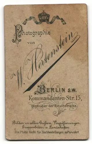 Fotografie W. Hertenstein, Berlin-SW, Portrait Herr mit Vollbart