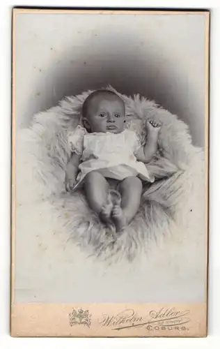 Fotografie Wilhelm Adler, Coburg, Baby im Pelzteppich liegend