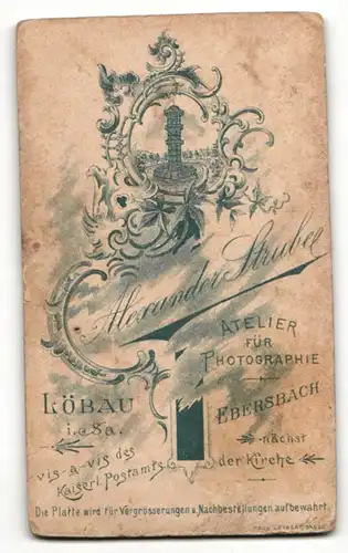 Fotografie Alexander Strube, Löbau i/S., Mann im Jacket mit hellem Binder