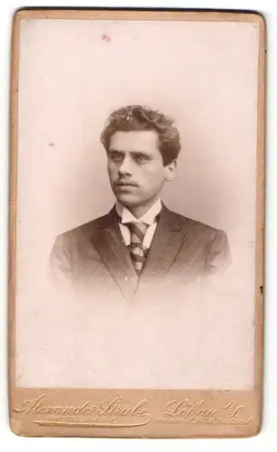 Fotografie Alexander Strube, Löbau i/S., Mann im Anzug mit gestreiftem Binder