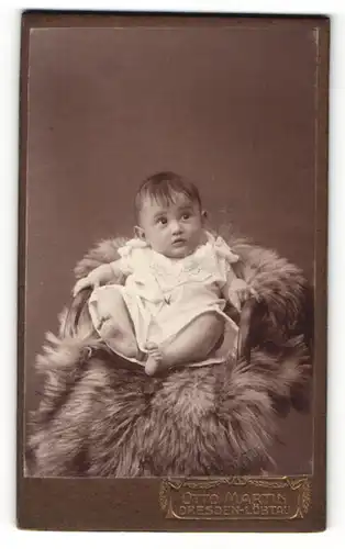 Fotografie Otto Martin, Dresden-Löbtau, Portrait niedliches Kleinkind im weissen Hemd auf Fell sitzend