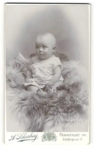 Fotografie A. Scherhag, Frankfurt a/M, Portrait Säugling in Leibchen
