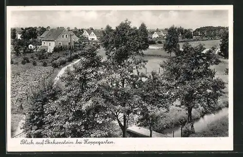 AK Birkenstein, Ortsansicht aus der Vogelschau