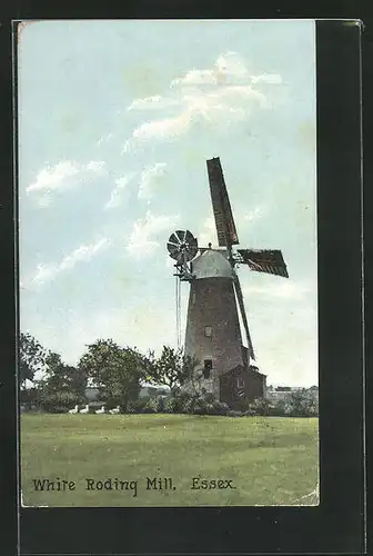 AK White Roding, View of the Mill, Windmühle