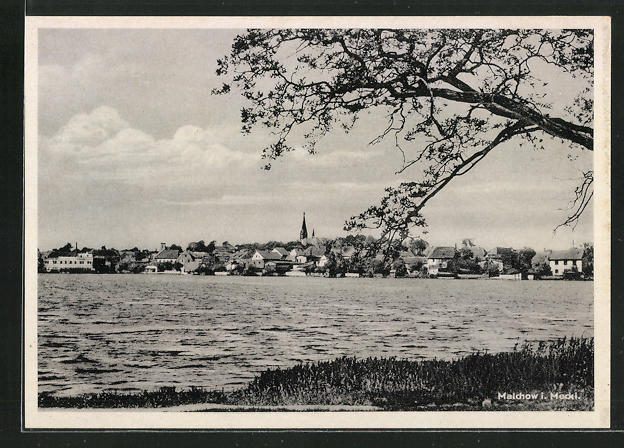 Ak Malchow I Meckl Teilansicht Mit Baum Nr 9197393 Oldthing