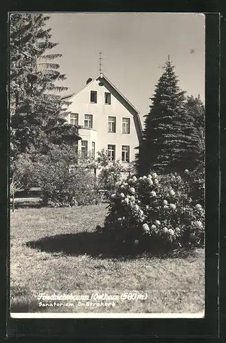 AK Friedrichsbrunn / Ostharz, Sanatorium Dr. Strokorb