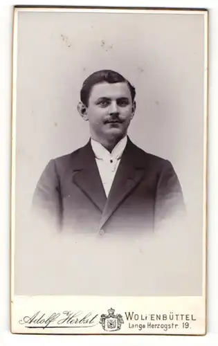 Fotografie Adolf Herbst, Wolfenbüttel, Portrait junger Herr in Anzug mit Krawatte