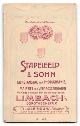 Fotografie Stapelfeld & Sohn, Limbach i.S., Portrait feine Dame in schicker Bluse