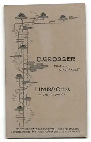 Fotografie C. Crosser, Limbach i.S., Portrait juge Dame in Bluse mit Hochsteckfrisur