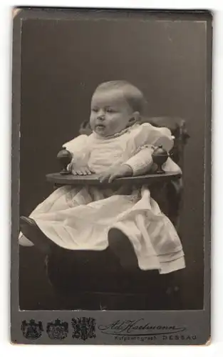 Fotografie Ad. Hartmann, Dessau, Baby im weissen Kleid im Kindersitz