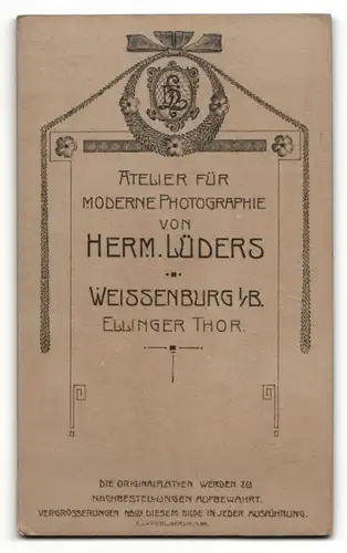 Fotografie Herm. Lüders, Weissenburg i/B, Portrait halbwüchsiger Knabe in Anzug