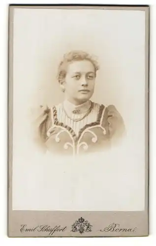 Fotografie Emil Schuffert, Borna, Portrait Frau in schöner Bluse
