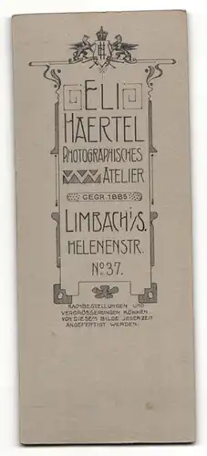 Fotografie Atelier Härtel, Limbach i / Sa., Portrait hübsch gekleidete Dame mit Hochsteckfrisur