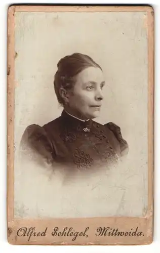 Fotografie Alfred Schlegel, Mittweida, Portrait bürgerliche Dame im eleganten Kleid mit Puffärmeln