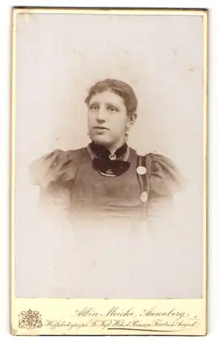 Fotografie Albin Meiche, Annaberg, Portrait junge Frau mit zusammengebundenem Haar