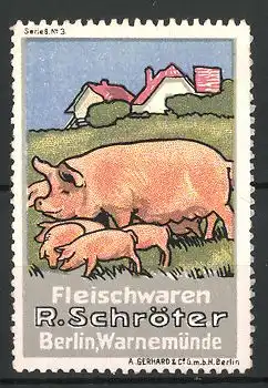 Reklamemarke Fleischwaren R. Schröter Berlin, Schweinefamilie auf der Wiese