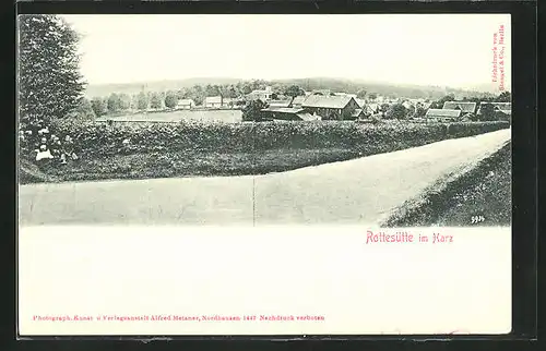 AK Rottesütte / Harz, Panorama