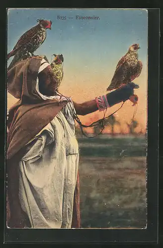 AK Fauconnier, Nordafrikanischer Falkner