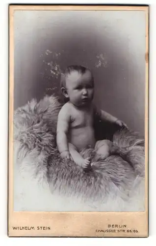 Fotografie Wilhelm Stein, Berlin, Baby sitzt nackt auf einem Fell