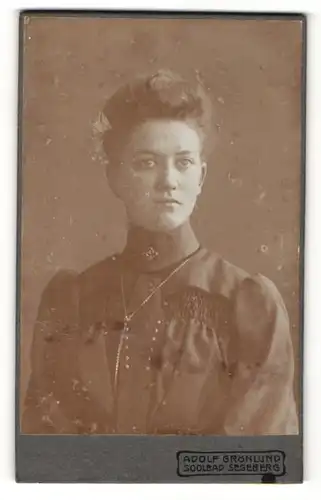 Fotografie Adolf Grönlund, Segeberg, Portrait hübsch gekleidete Dame mit Hochsteckfrisur