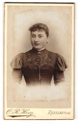 Fotografie O. R. Herz, Rosslau / Elbe, Portrait charmant blickendes Fräulein in bestickter Bluse