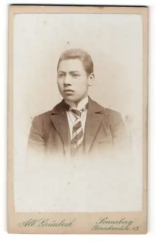 Fotografie Alb. Grünbeck, Sonneberg, Portrait junger Herr im Anzug mit Krawatte
