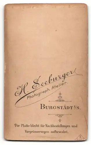 Fotografie H. Seeburger, Burgstädt i/S, Portrait Knabe in festlichem Anzug mit Melone