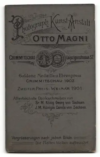 Fotografie Otto Magni, Crimmitschau, Portrait feine Dame im bestickten Kostüm