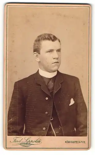 Fotografie Ferd. Lippoldt, Königstein a.E., Portrait junger Mann im Anzug mit Einstecktuch