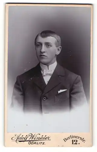 Fotografie Adolf Winkler, Görlitz, Portrait Knabe im Anzug mit Einstecktuch