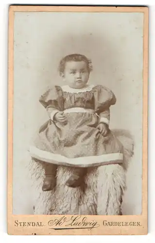 Fotografie Ad. Ludwig, Gardelegen, Portrait süsses Kleinkind auf einem Fell