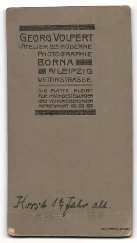 Fotografie Georg Volpert, Borna b. Leipzig, kleines Kind mit blonden lockigen Haaren hat einen Ball in der Hand, Horst