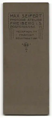 Fotografie Max Seifert, Freiberg i. Sa., Herr in elegantem Anzug mit Querbinder