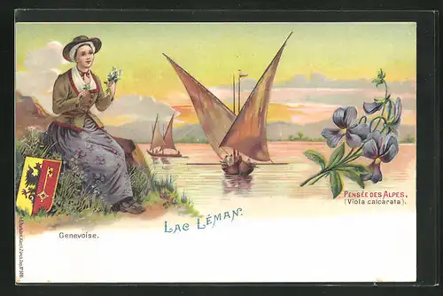 Lithographie Lac Léman, Genevoise, Pensée des Alpen, Alpenveilchen und Genferin, Wappen